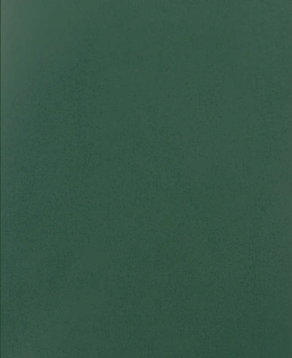 Тетрадь 48л, А5, клетка, скрепка, бумвинил, зеленый, Эксмо