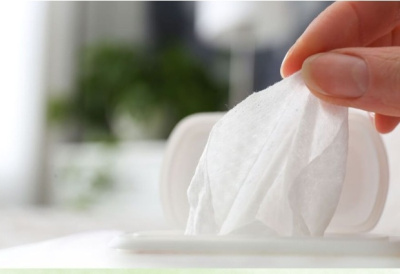 KALAM.KZ - Салфетки влажные 100шт, антибактериальные с клапаном Flovell Care