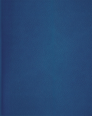 Тетрадь 80л, А4, клетка, скрепка, бумвинил, обл. синяя BG