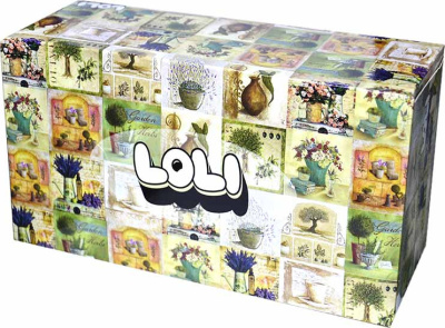 Салфетки бумажные 120шт, 2х-слойные, вытяжные в картонной упаковке "Loli" Maxi