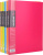 KALAM.KZ - Папка с файлами, 20 файлов, A4, 35.5х24 см,.0.75мм, пластик ассорти DELI "Rio"