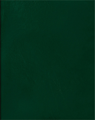 Тетрадь 80л, А4, клетка, скрепка, бумвинил, обл. зеленая BG