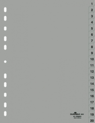 Разделитель 1-20, А4, 20л, пластик, серый Durable